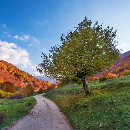 Il Camoscio Mountain & Bike Rovere (Abruzzo) Exterior foto